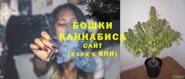 мяу мяу мука Кулебаки