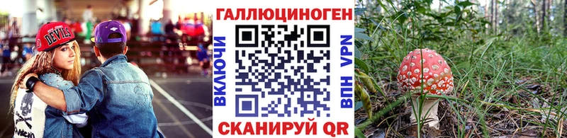 Купить где  Спасск-Рязанский  Галлюциногенные грибы Psilocybine cubensis 